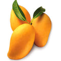 Neelum Dwarf MANGO TREE GRAFTED 2-4 Ft Tall.Ship To CA&PR. Actual Photos