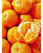 Ponkan TANGERINE TREE (GRAFTED) 2-4 Ft Tall. We Ship To CA &PR. Actual Photos