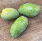 Lemon Zest MANGO TREE GRAFTED 2-4 Ft Tall.Ship To All States.
