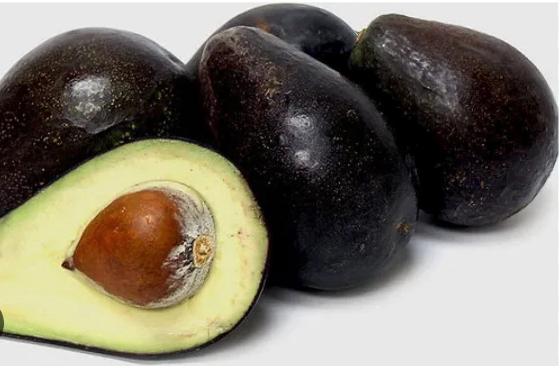 Avocado Your Way Tree Box: 1-hass 1-winter Mexican 1-long Neck Russel 1-oro Nego