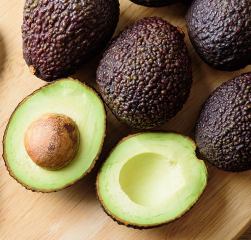 Avocado Your Way Tree Box: 1-hass 1-winter Mexican 1-long Neck Russel 1-oro Nego