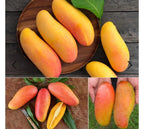 Supreme Tree Box: 1-Mango 1-orange 1-avocado 1-lychee 1-longan 1-sugar Apple