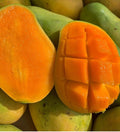 Flowering Madame Francis Haitian Mango Grafted. Ship To All States. 5 Gallons