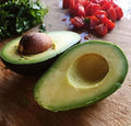 Hass Avocado Tree Live Avocado Tree GRAFTED. We Ship To CA &PR. 2-4ft Tall