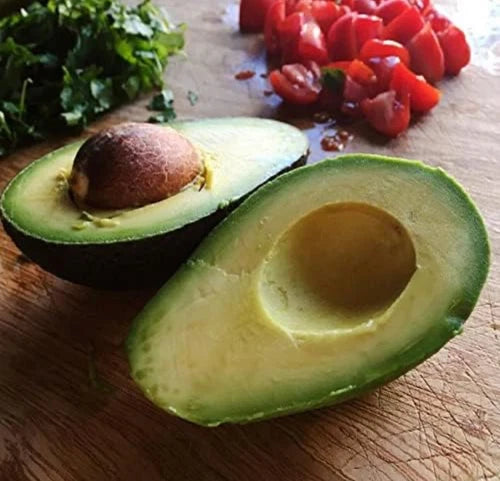Hass Avocado Tree Live Avocado Tree GRAFTED. We Ship To CA &PR. 2-4ft Tall