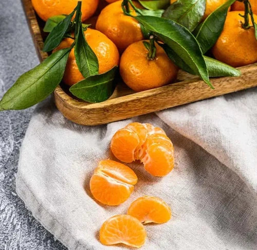 Tangerine 🍊2-4ft Tree. Self-pollinating Grafted. Ship To CA&PR. Actual Pics