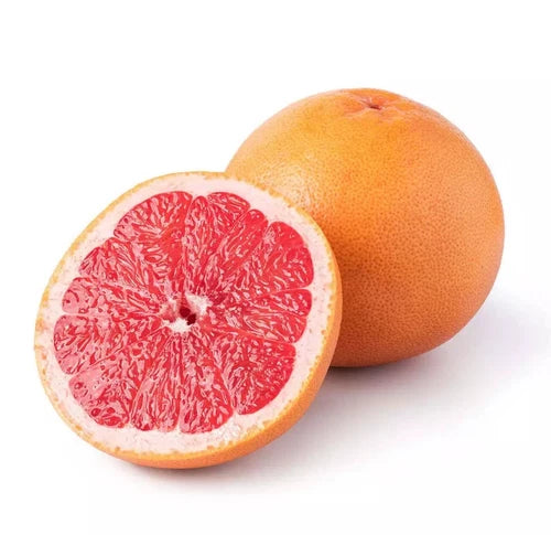 Red ruby grapefruit (grafted). 2-4ft Tall. Ship To CA&PR