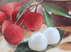 Paradise Box GRAFTED Trees:1-sweetheart Lychee,1-mango,1-hass Avocado,1-orange