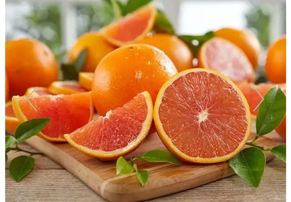 Red navel orange tree (grafted) 3-4 Feet Tall. We Ship To CA &PR