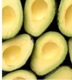 Day Avocado Tree Grafted 2-4 Ft Tall Cold Hardy. We Ship To CA &PR