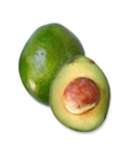 Monroe Avocado Grafted 2-4ft. Ship To All States. Real Pics